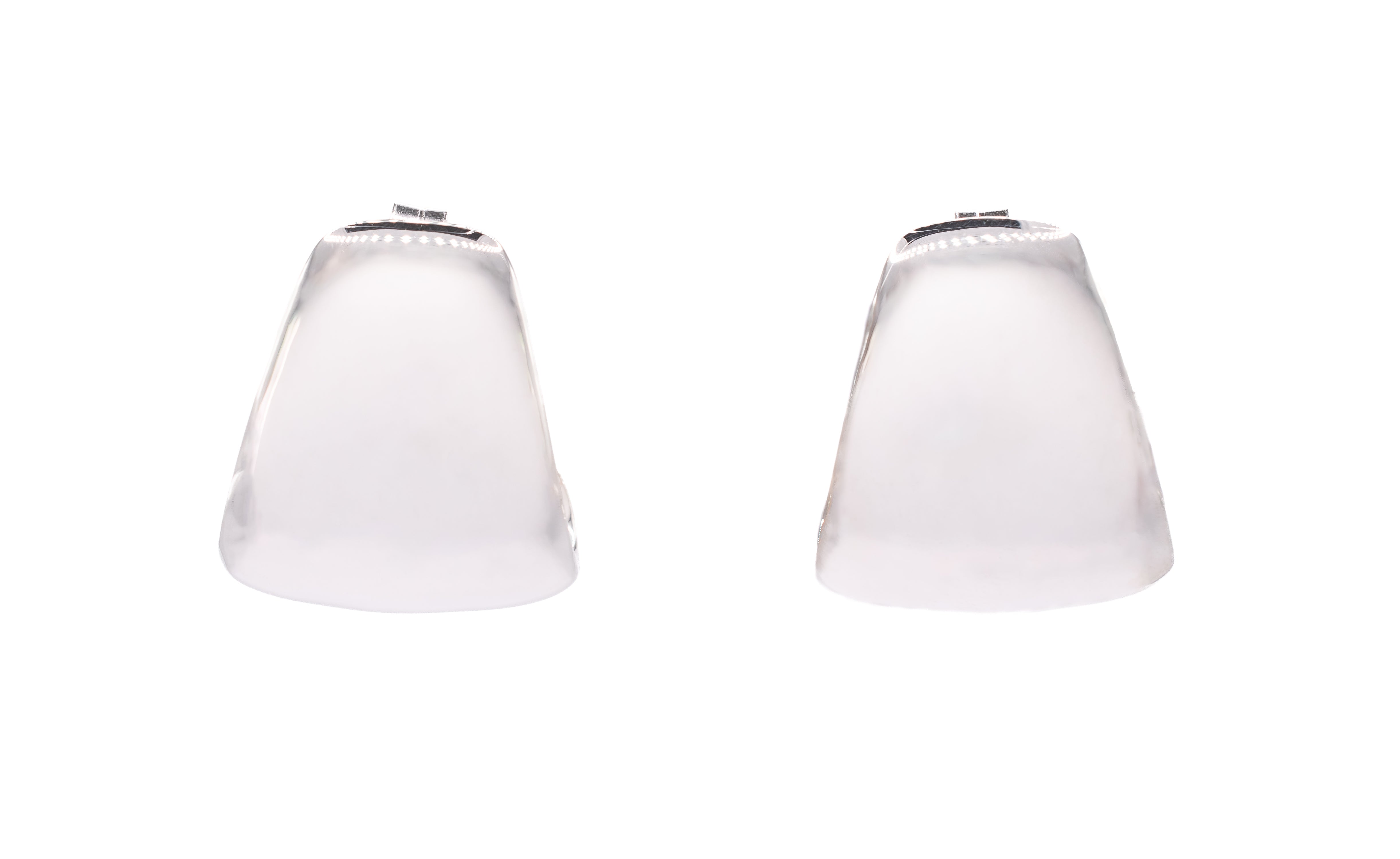 Wiggins Earrings in Silver