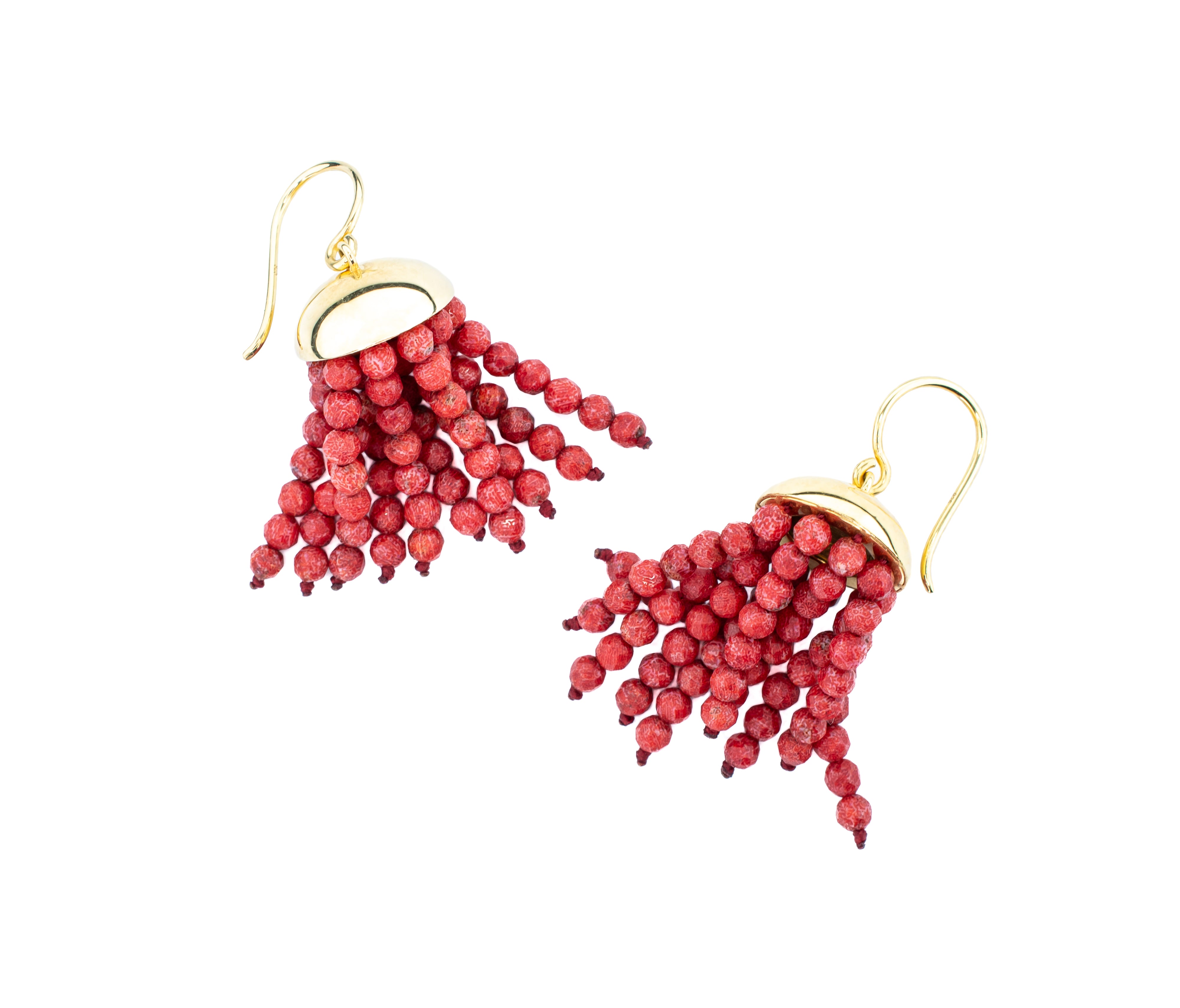 Hydra Tassel Earrings in Red