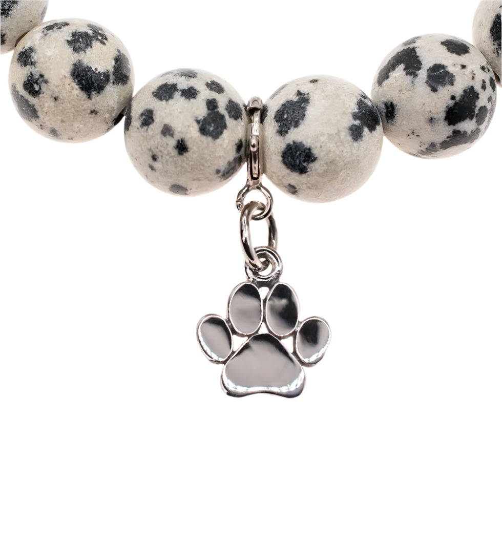 Sterling Silver Paw Charm on Dalmatian Jasper